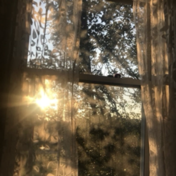 An ambience is always refreshing.