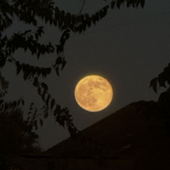 Another night audio, I adore the nighttime and the ambience that comes with it.