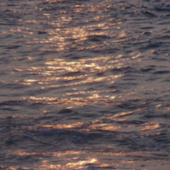 The ocean is something I love and everytime I vacation, I try to go somewhere with a beach.