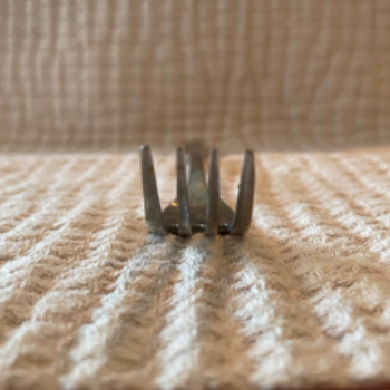 Physical Image of an Fork