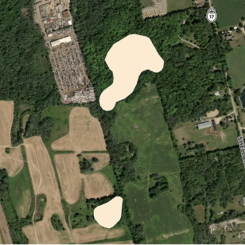 put a description here or you will lose grades