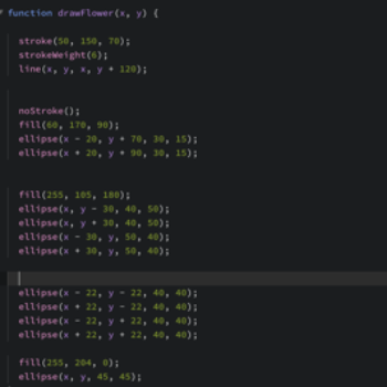 This is the code used to create the 2D flower and coordinates to make sure everything is together.